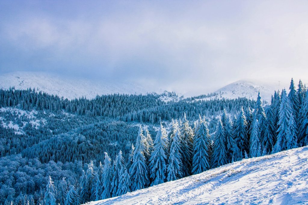 Neige en roumanie