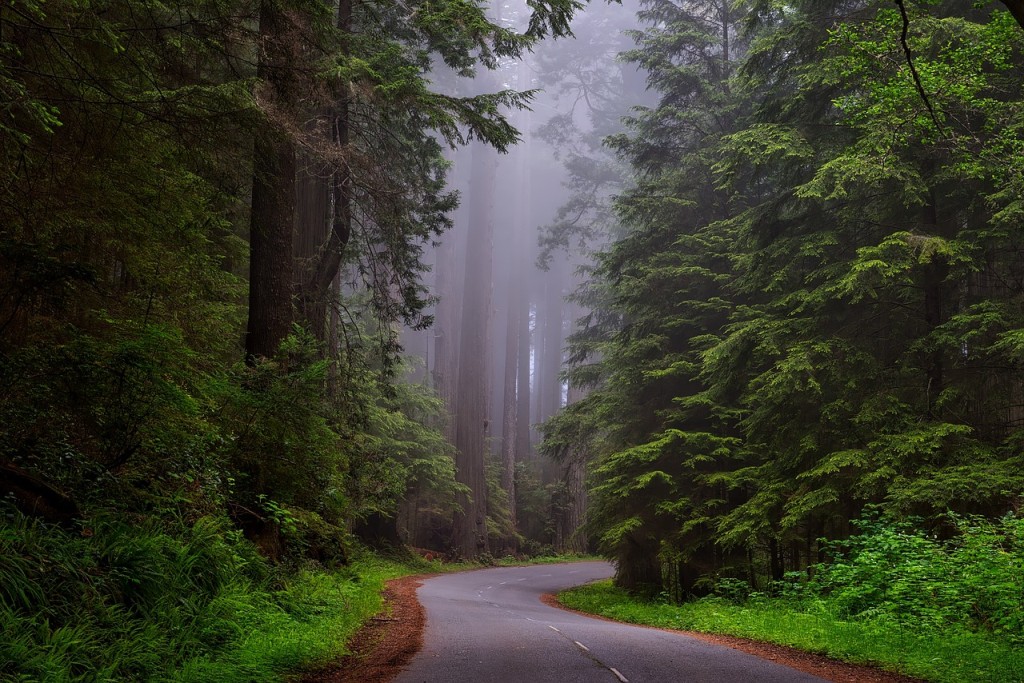 Sequoia National Park