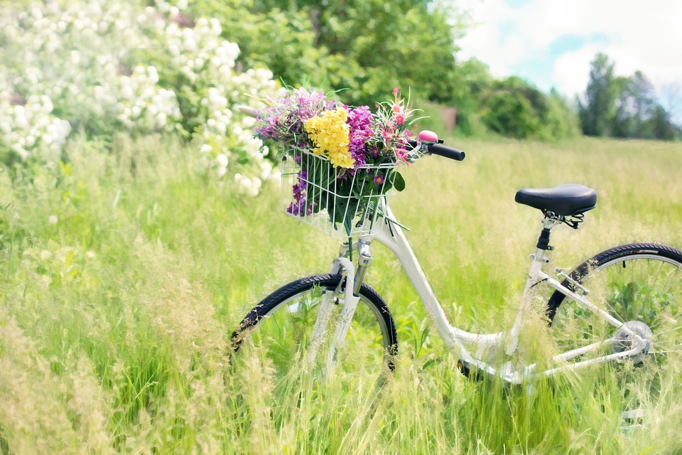 vélo sur la Loire